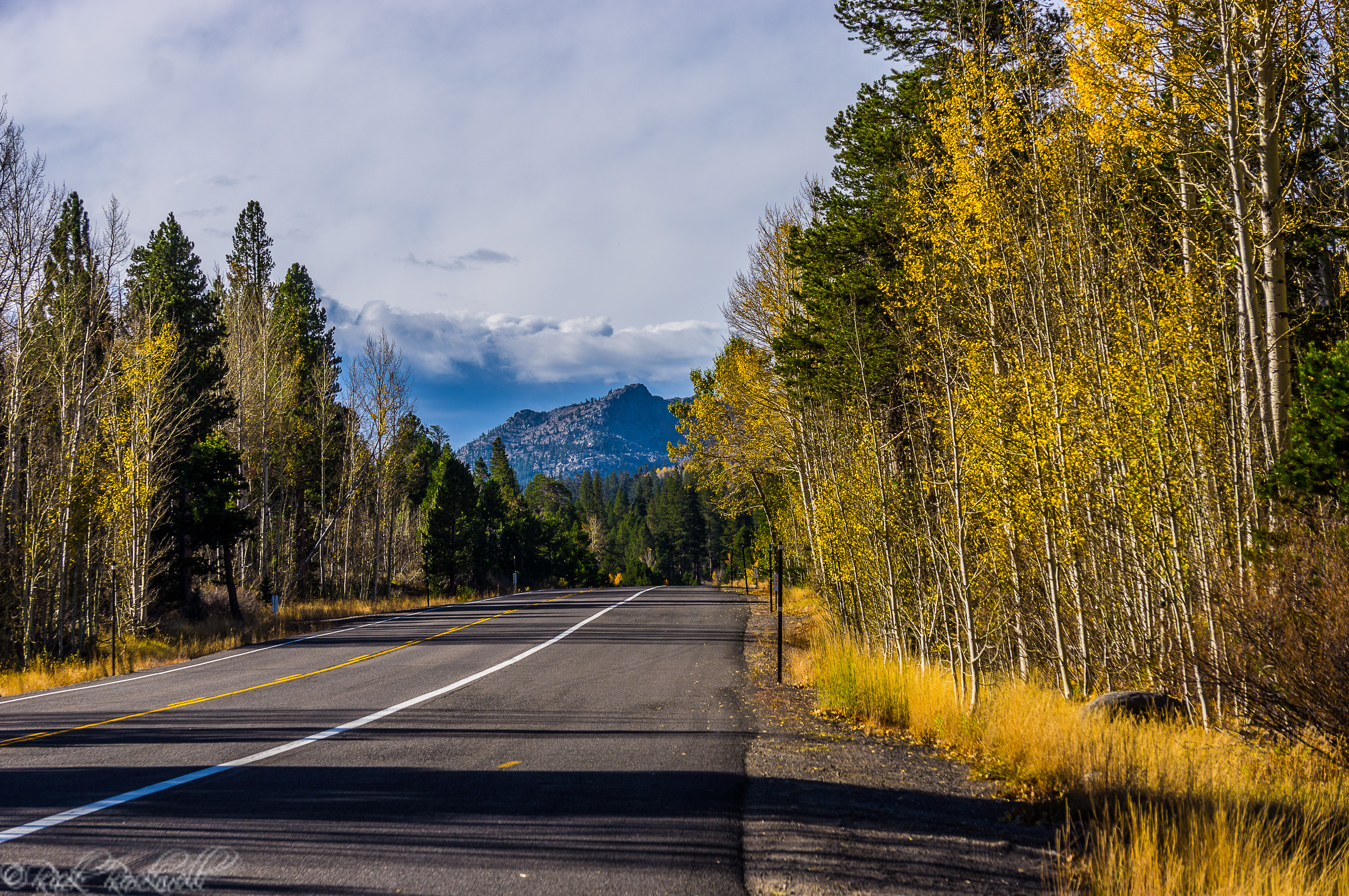 fall colors highway 88 (1 of 1) - CalEXPLORnia